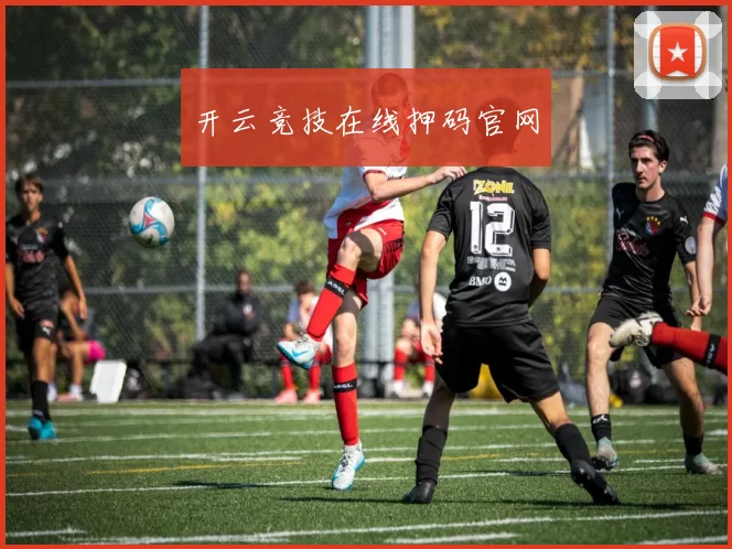 开云竞技在线押码官网