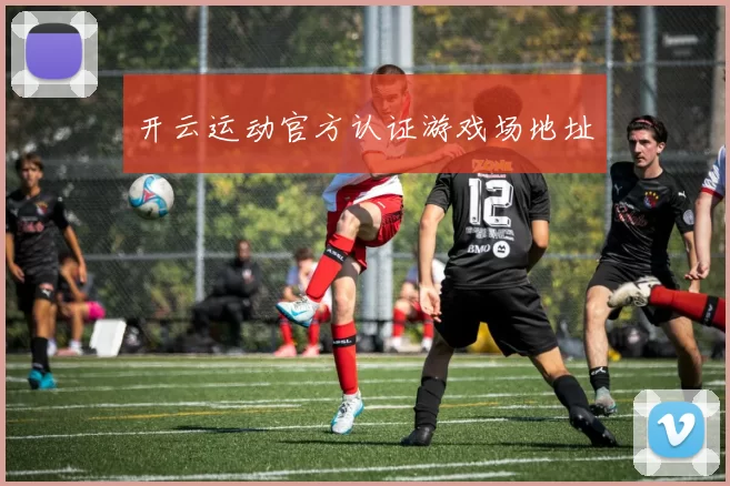 开云运动官方认证游戏场地址