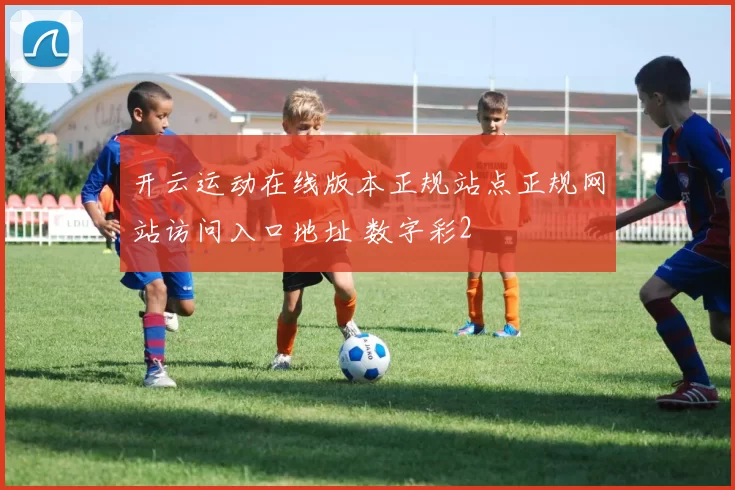 开云运动在线版本正规站点正规网站访问入口地址 数字彩2