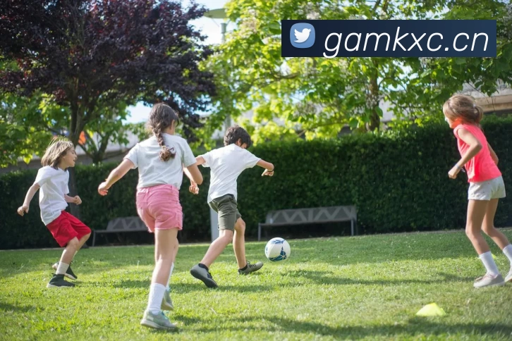 开运体育发展历程